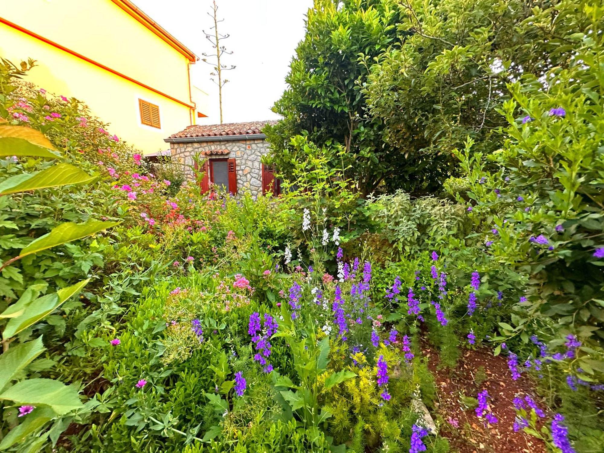 Apartments Cvita Veli Lošinj Exterior foto