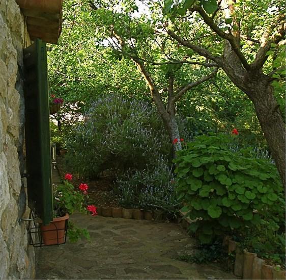 Apartments Cvita Veli Lošinj Exterior foto